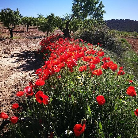 Cortijo Los Soledad El Sauco Dış mekan fotoğraf