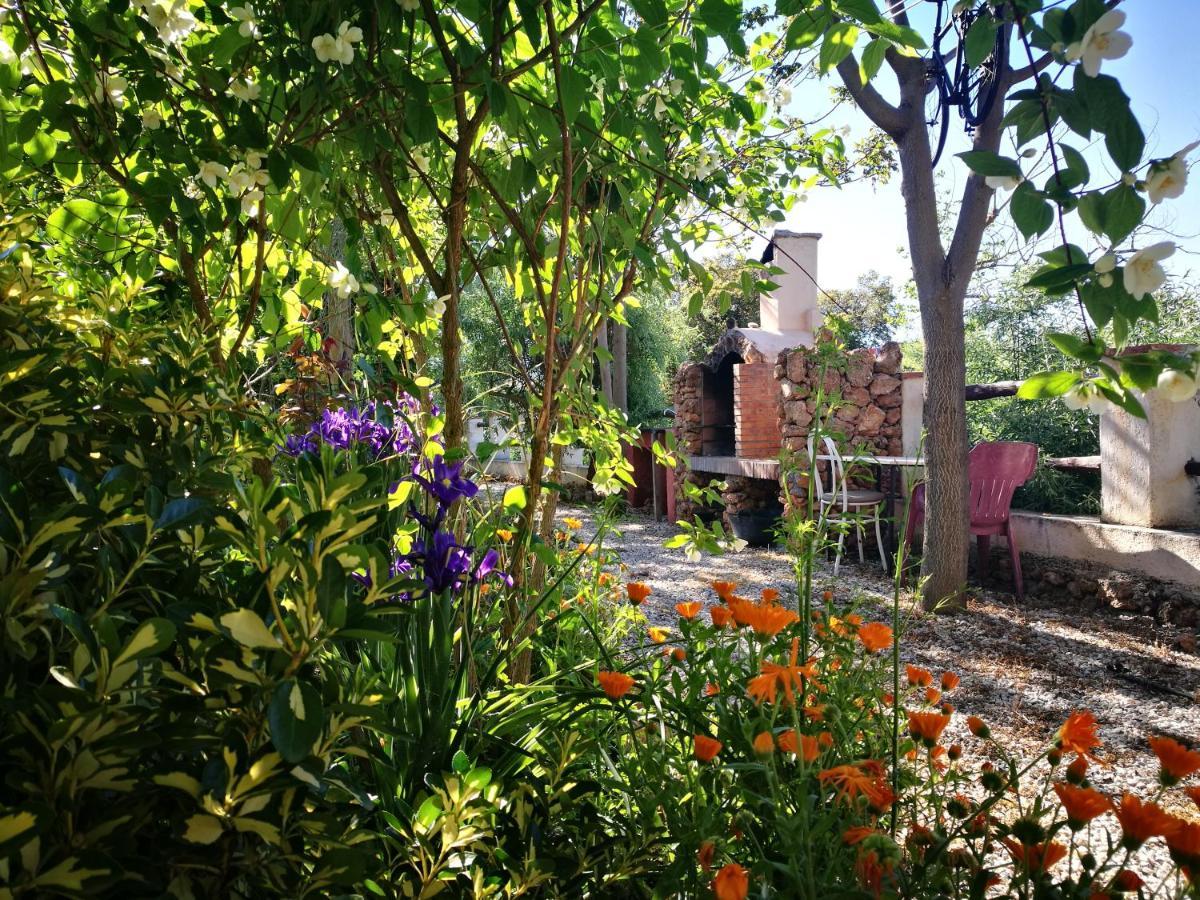 Cortijo Los Soledad El Sauco Dış mekan fotoğraf