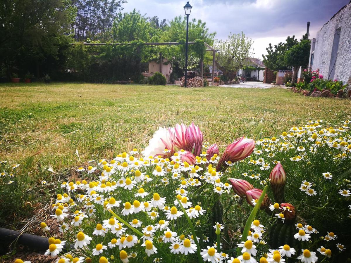 Cortijo Los Soledad El Sauco Dış mekan fotoğraf