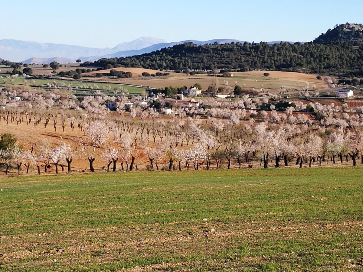 Cortijo Los Soledad El Sauco Dış mekan fotoğraf