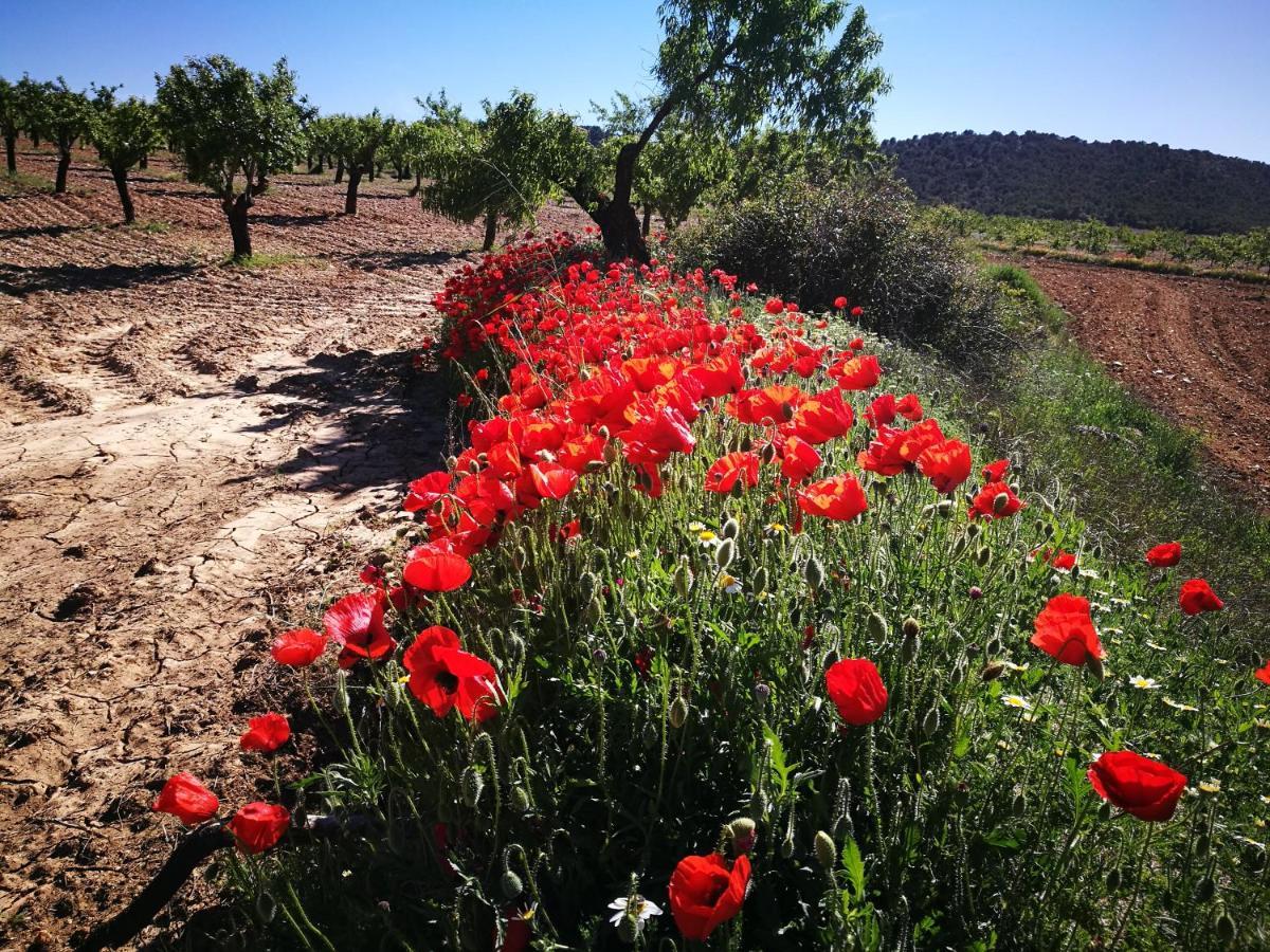 Cortijo Los Soledad El Sauco Dış mekan fotoğraf