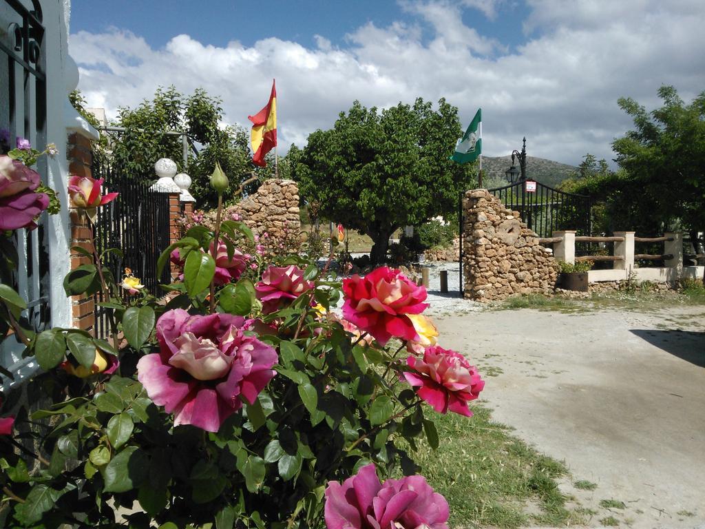 Cortijo Los Soledad El Sauco Dış mekan fotoğraf