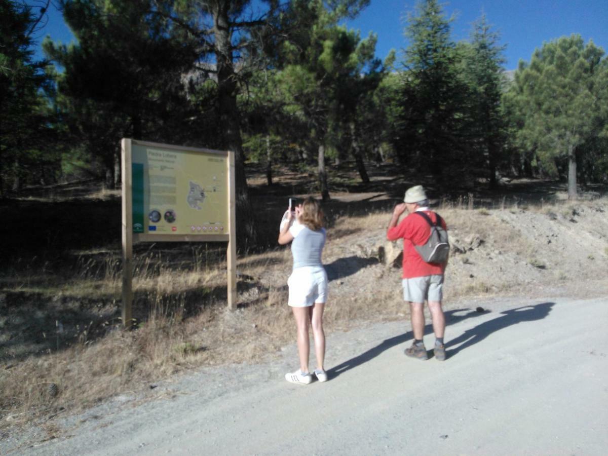 Cortijo Los Soledad El Sauco Dış mekan fotoğraf