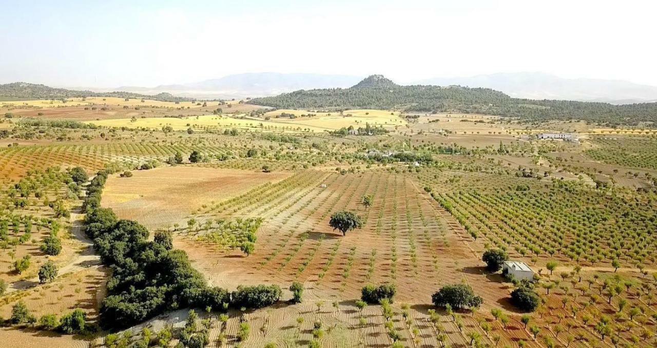 Cortijo Los Soledad El Sauco Dış mekan fotoğraf