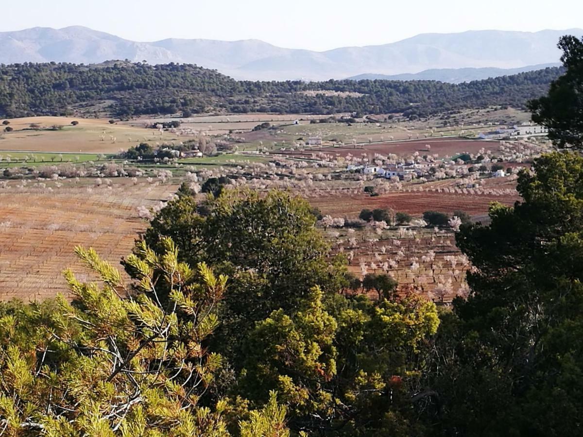 Cortijo Los Soledad El Sauco Dış mekan fotoğraf